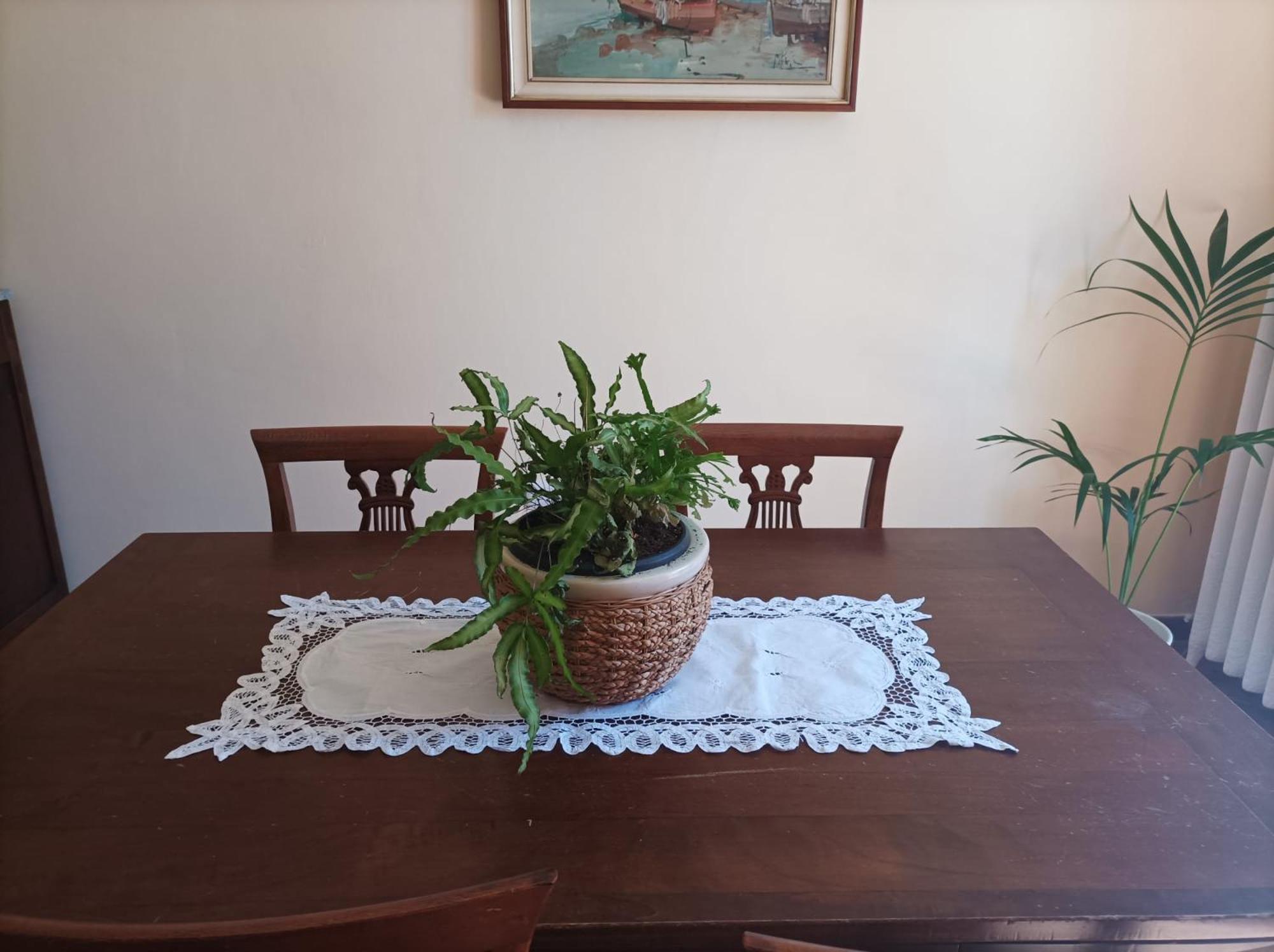 Bed And Breakfast Da Pio Castello  Exterior foto